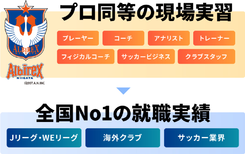 プロ同等の現場実習 全国No1の就職実績